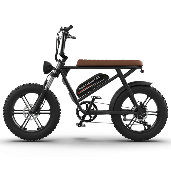 Aostirmotor STORM Electric Bike 750W 48V 12.5Ah