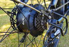 Dirwin Seeker Fat Tire Electric Bike motor